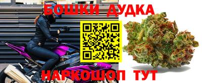 прущие крисы Владивосток