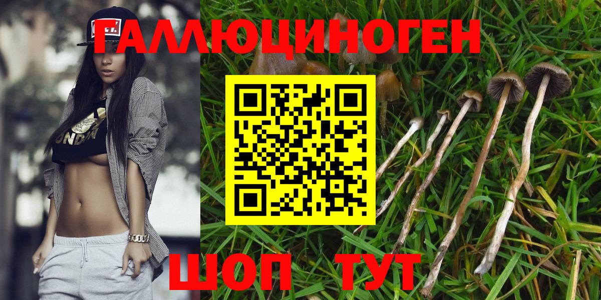 Кстово  Галлюциногенные грибы Psilocybe  Вход с VPN 